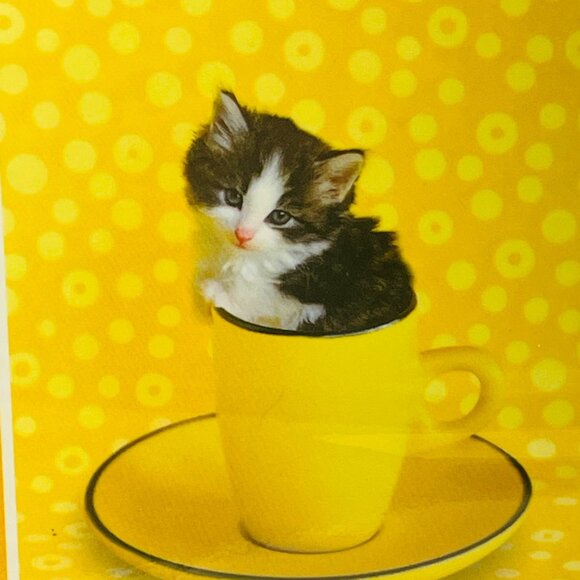 Keith Kimberlin Kitten In Teacup Photo Album Holds 36 4x6 Photos Adorable Yellow - Picture 5 of 7